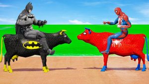 بقرة باتمان ضد بقرة سبايدر مان في مضمار سباق الابقار – Superhero Cows Spiderman vs batman Crazy Race