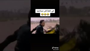 فضيحة الفيلم المغربي