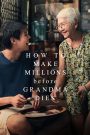 فيلم How to Make Millions Before Grandma Dies 2024 مترجم | سيما ناو