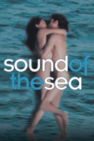 فيلم Sound of the Sea 2001 مترجم | افلام توب