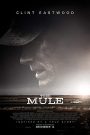 فيلم The Mule 2018 مترجم