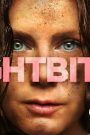 مشاهدة فيلم Nightbitch 2024 مترجم